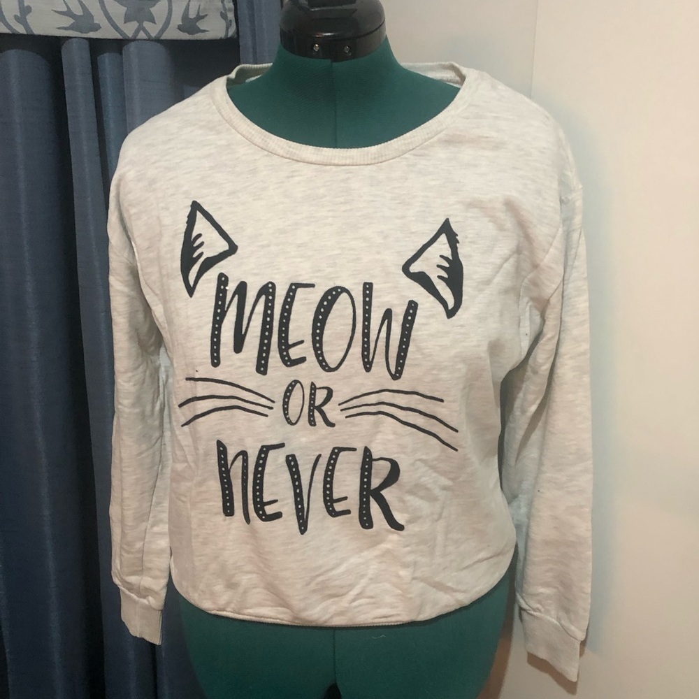 Meow or Never Sweater